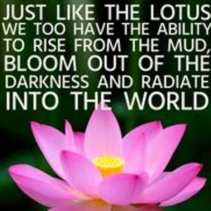 Meet your Posher, Candace